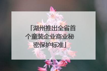 湖州推出全省首个童装企业商业秘密保护标准